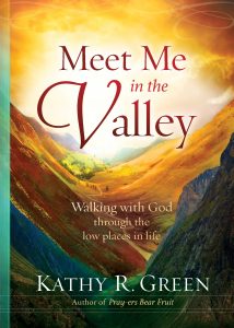 Meet Me in the Valley: Walking With God Through the Low Places in Life