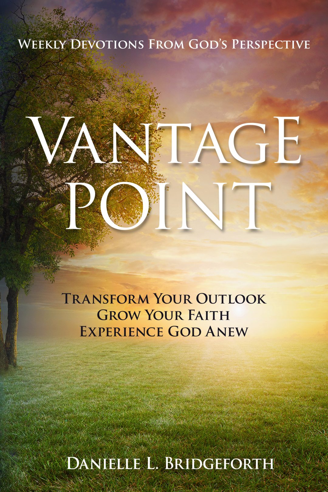 Vantage Point Redemption Press