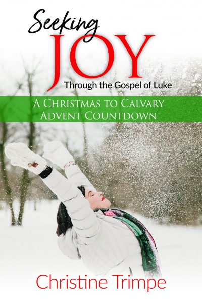 Seeking Joy