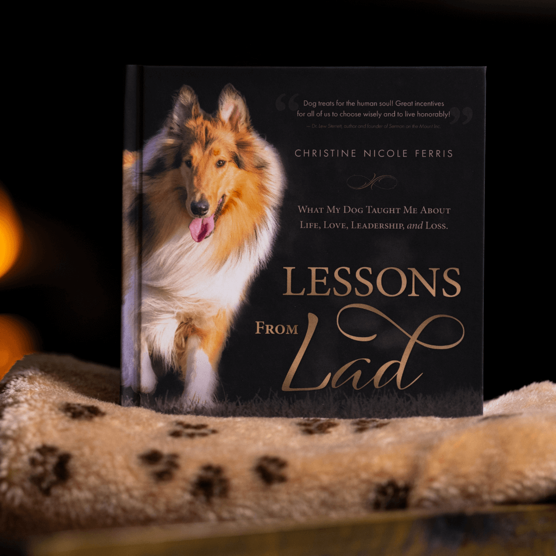 Lessons from Lad Square1