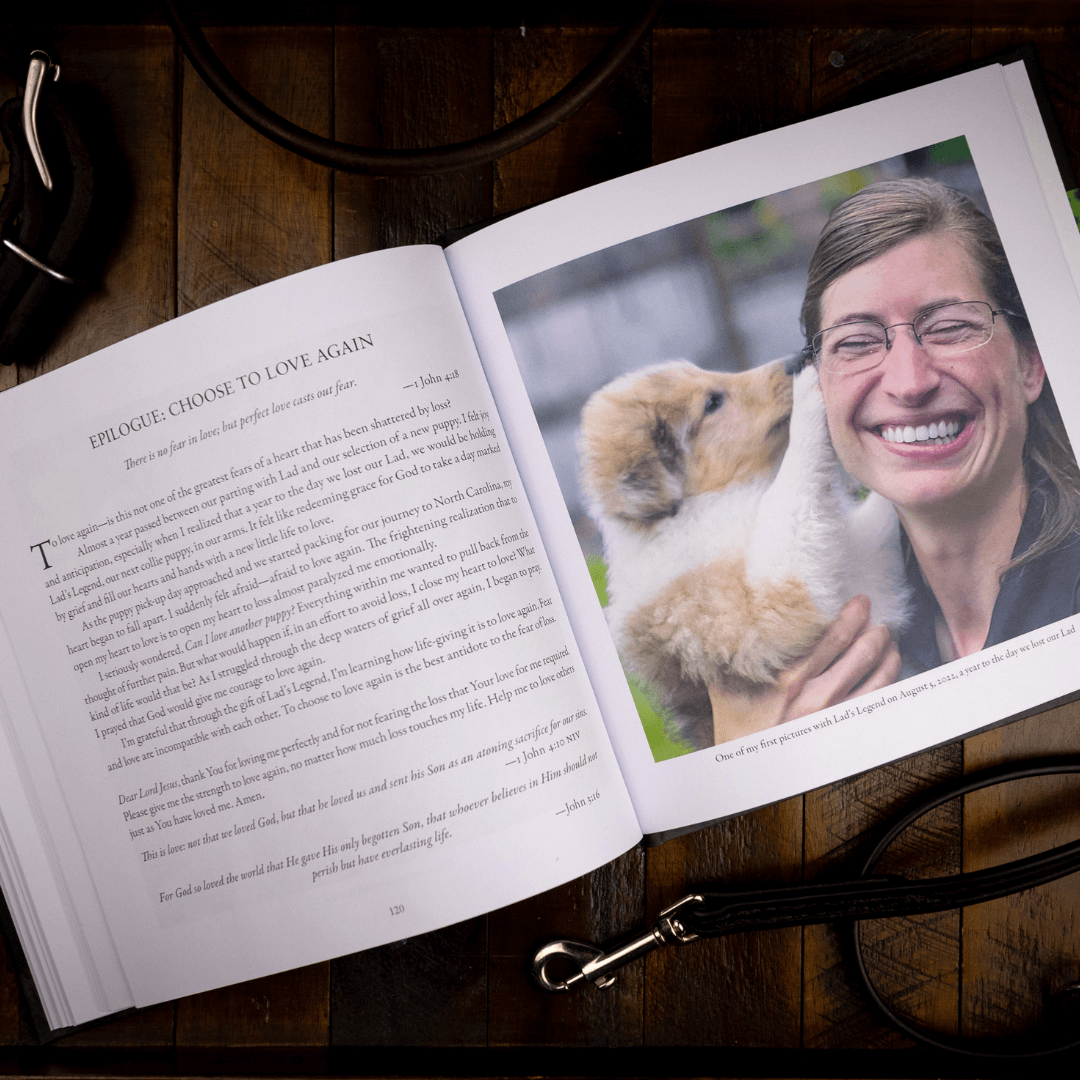 Lessons from Lad Square2