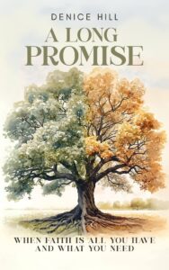 Cover for A Long Promise by Denice Hill