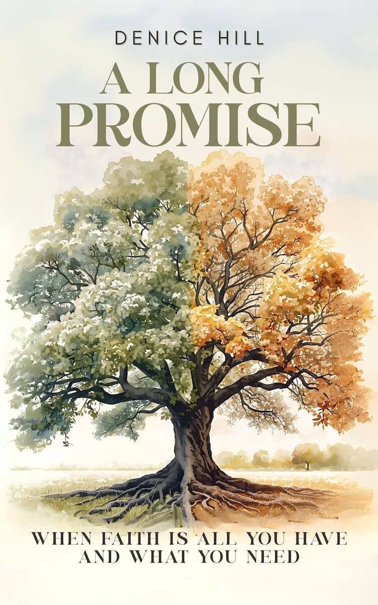 Cover for A Long Promise by Denice Hill
