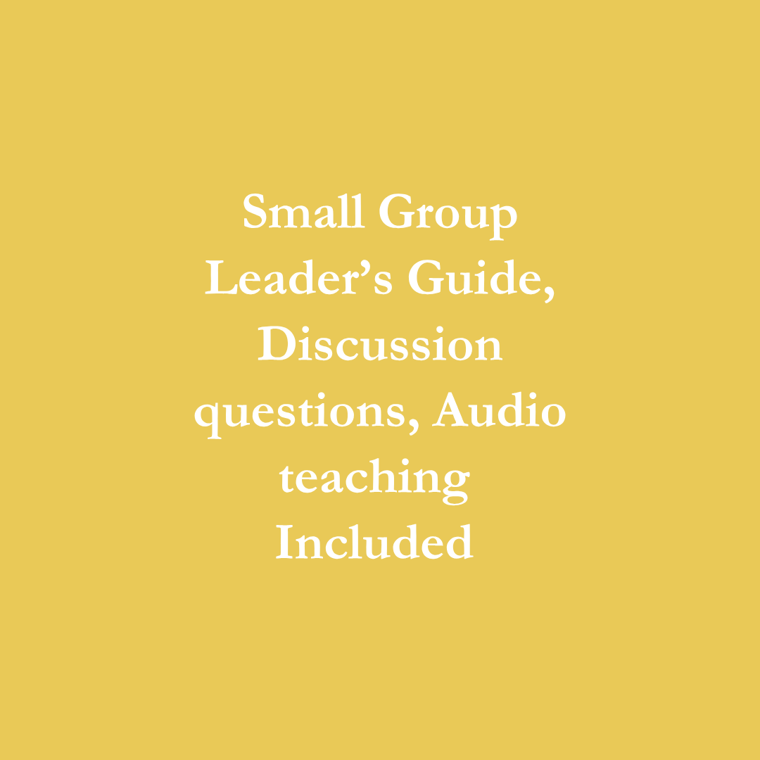 Holli Aparicio- Square6